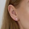 CRANNE 14K Кубические серьги с 4 зубцами (Позолоченный) C24EGF174