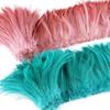 100Pcs/1lot Natural Rooster Feather Plume Decoration DIY Sewing Accessory 4-6 " Pheasant Feathers for Crafts Plume