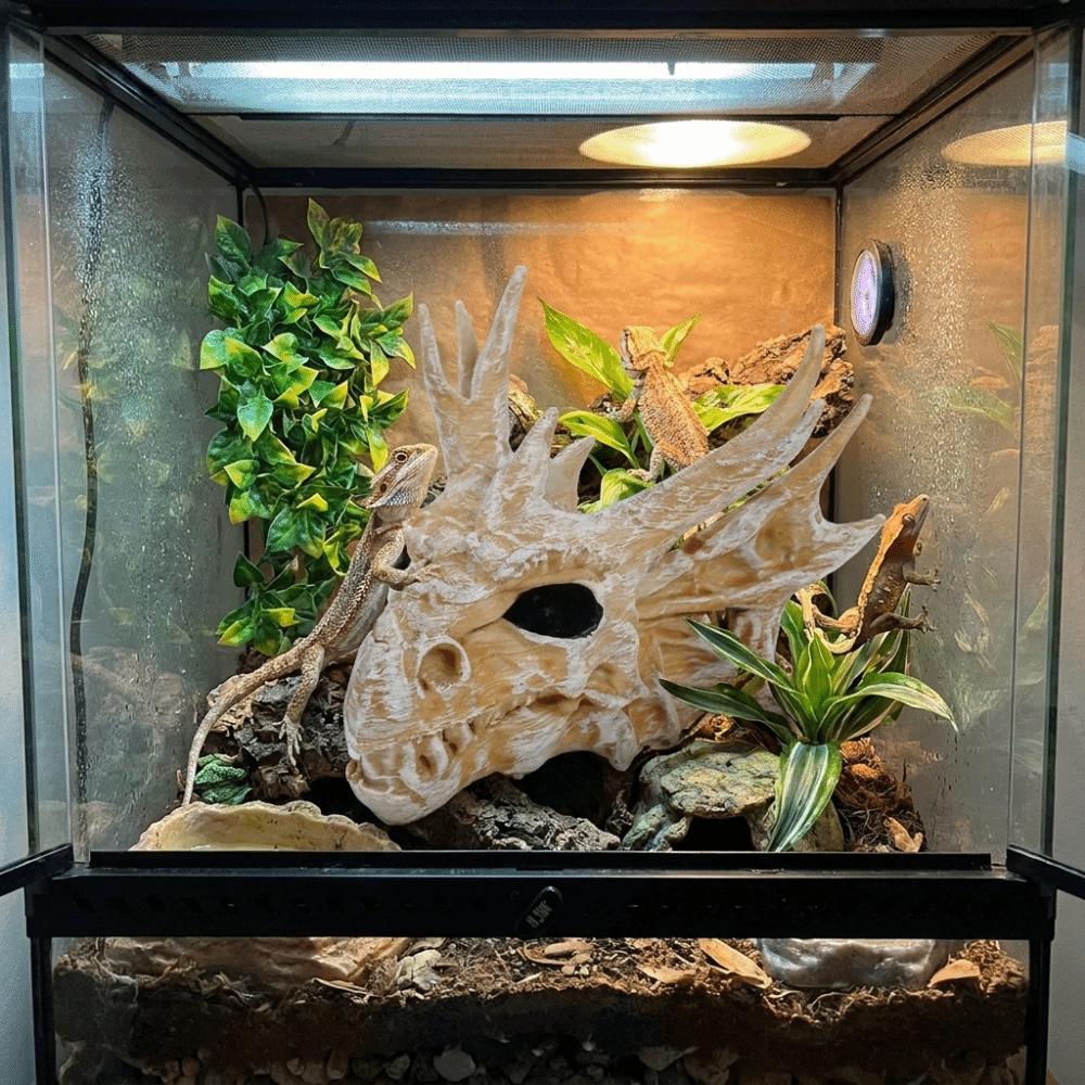 3D Printed Dragon Bone Fish Tank Ornament Crawler Landscape Decoration Feeding Box Decoration