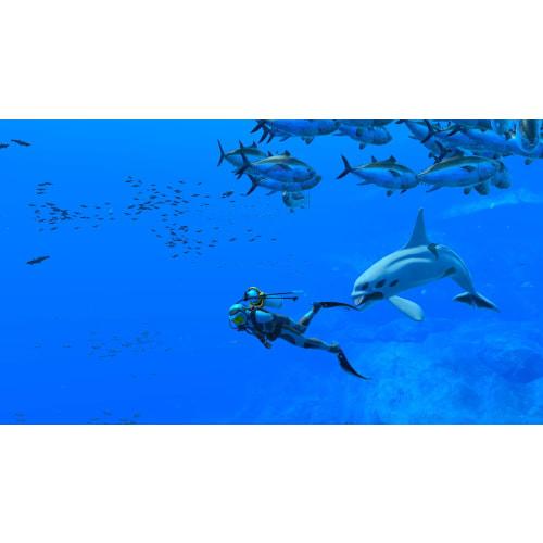 Forever Blue Luminous -Switch