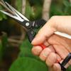 SK5 Steel Sharp Blade Point Head Garden Scissors Flowers Pruner Fruit Branch Pruning Tool Cutter For Bonsai Plants