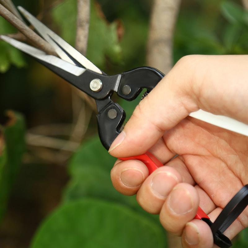 SK5 Steel Sharp Blade Point Head Garden Scissors Flowers Pruner Fruit Branch Pruning Tool Cutter For Bonsai Plants