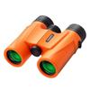 Leaysoo 10X32 Compact Binoculars for Adults and Kids,High Powered Small Binoculars, BAK-4 FMC Clear Low Light Vison Waterproof B