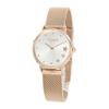 Ladies Watch Perry 14503520 [item]
