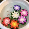 Led Float Light Flower Lotus Pool Lamp Underwater Lights for Boats Pool Lighting Pond River Lantern Garden Decoration