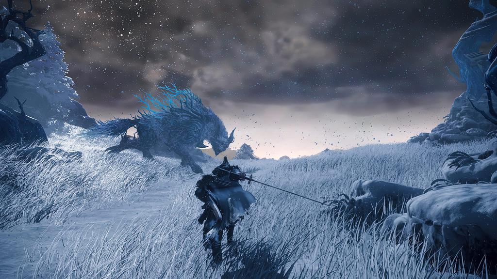 Дикие Сердца Север Xbox Series X (Импортная версия Америка) -