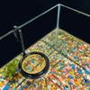 Anti Drifting Fish Feeding Ring Hanging Floating Food Tray Fish Tank Station  Aquarium Decoration