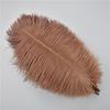 10Pcs/Lot 25-30Cm Ostrich Feathers For Crafts Party Decoration Jewelry Creation Natural Feather For Needlework And Handicrafts
