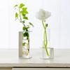 [Made In Tsubame-Sanjo] TETSUNAGI C & C Long Flower Vase Set, Single Flower Vase, Steel and Glass Test Tube, Mini, Made In Japan, Interior Decor,