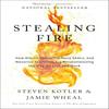 Stealing Fire How Silicon Valley Paperback