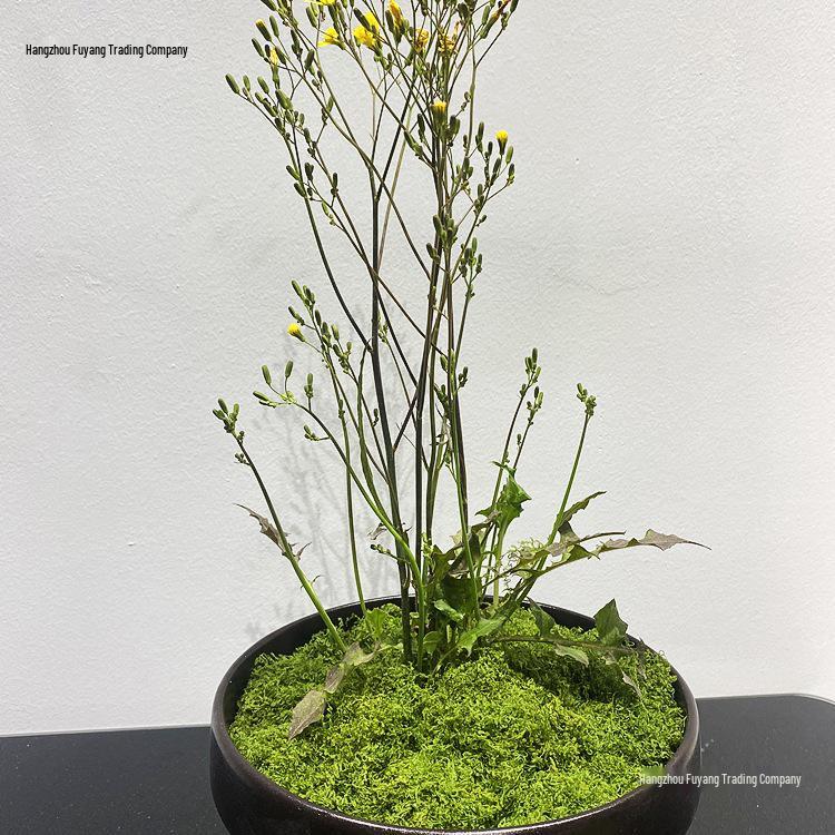 Artificial Moss Turf and Rockery Stones for Horticulture, Landscaping, and Bonsai Decor