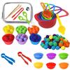 Montessori Fine Motor Training Toys Colors Cognitive Sorting Count Matching Games Parish Open Learning Materials Home Education