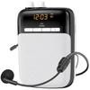 Soaiy S318 Портативный Bluetooth-усилитель голоса, штекер CN (адаптер в комплекте)