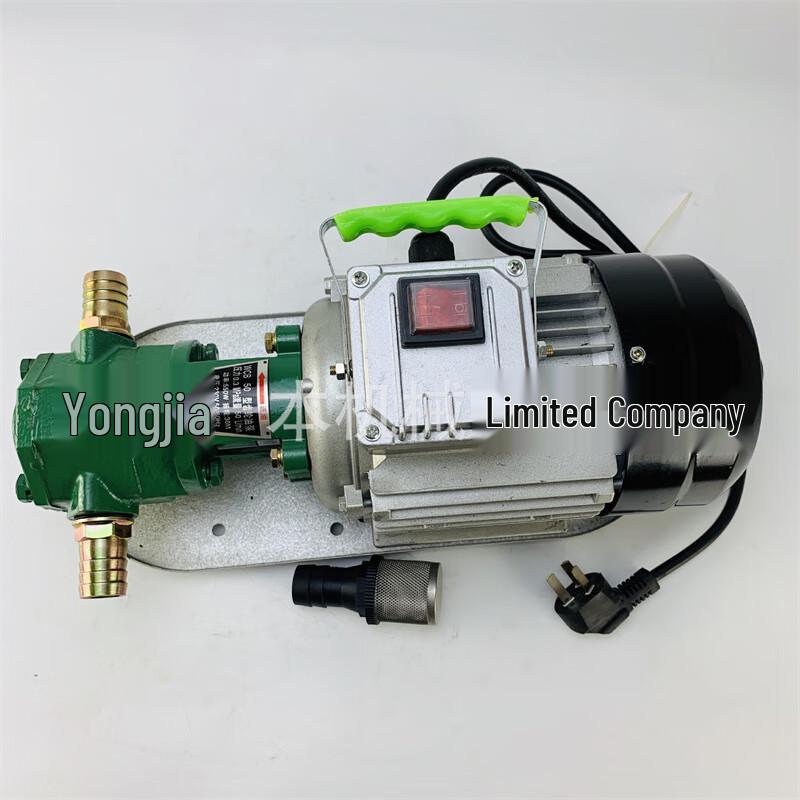 TLXT WCB Series Gear Oil Transfer Pump CN plug (adapter included)