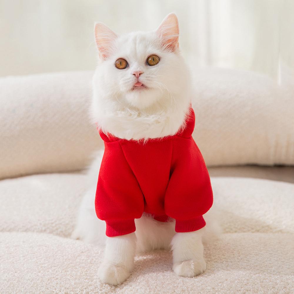 Classic Fruit Print Sphynx Cat Hoodie Sweater Autumn Winter Warm Pet Clothes for Cats Gotas Garfield Katten Dog mascotas Costume