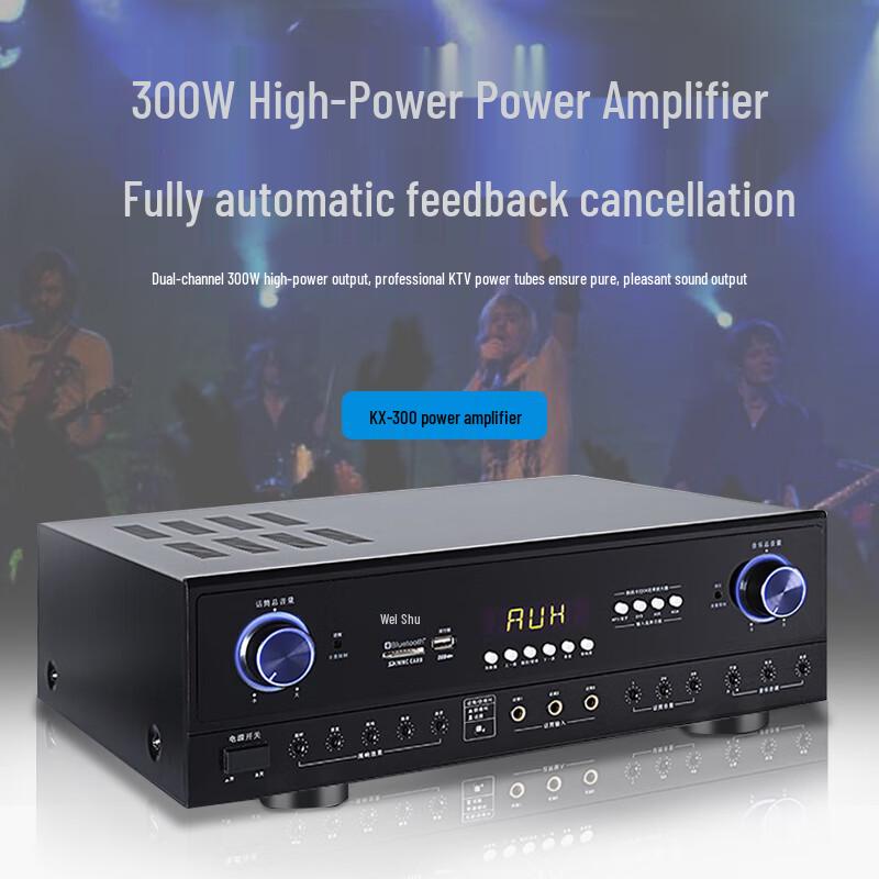 Weishu BM-8 10-inch Wall-Mount Passive Speaker System with KX-300 Amplifier