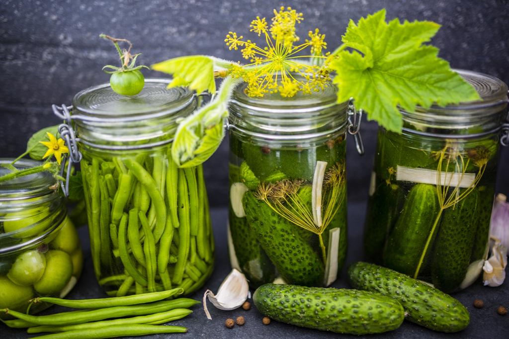 SAFLAX Garden in the Bag - Органический - Огурец - Vorgebirgstraube - 15 семян - С субстратом в подходящем стоячем пакете - Cucumis sativus