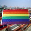 Vibrant Rainbow Lgbt Flag 5ft X 3ft Ideal For Festivals And Parades With Metal Eyelets