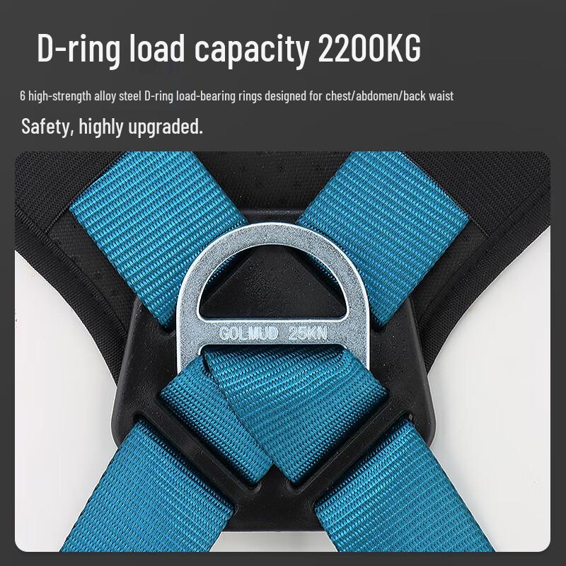 Goerm 5-Point Safety Harness