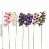Butterfly Orchid Artificial Orchid Flower Real Touch Realistic Simulation Big Moth Orchid Luxury Handmade Fake Flower Branch