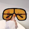 Oversized Goggle Women New In Fashion Multi-color Windproof Shades Trendy Luxury Brand Design Outdoor Casual Sun Glasses