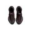 Nike Acg Mountain Fly Low 'Коричневый Базальт' DC9045-200