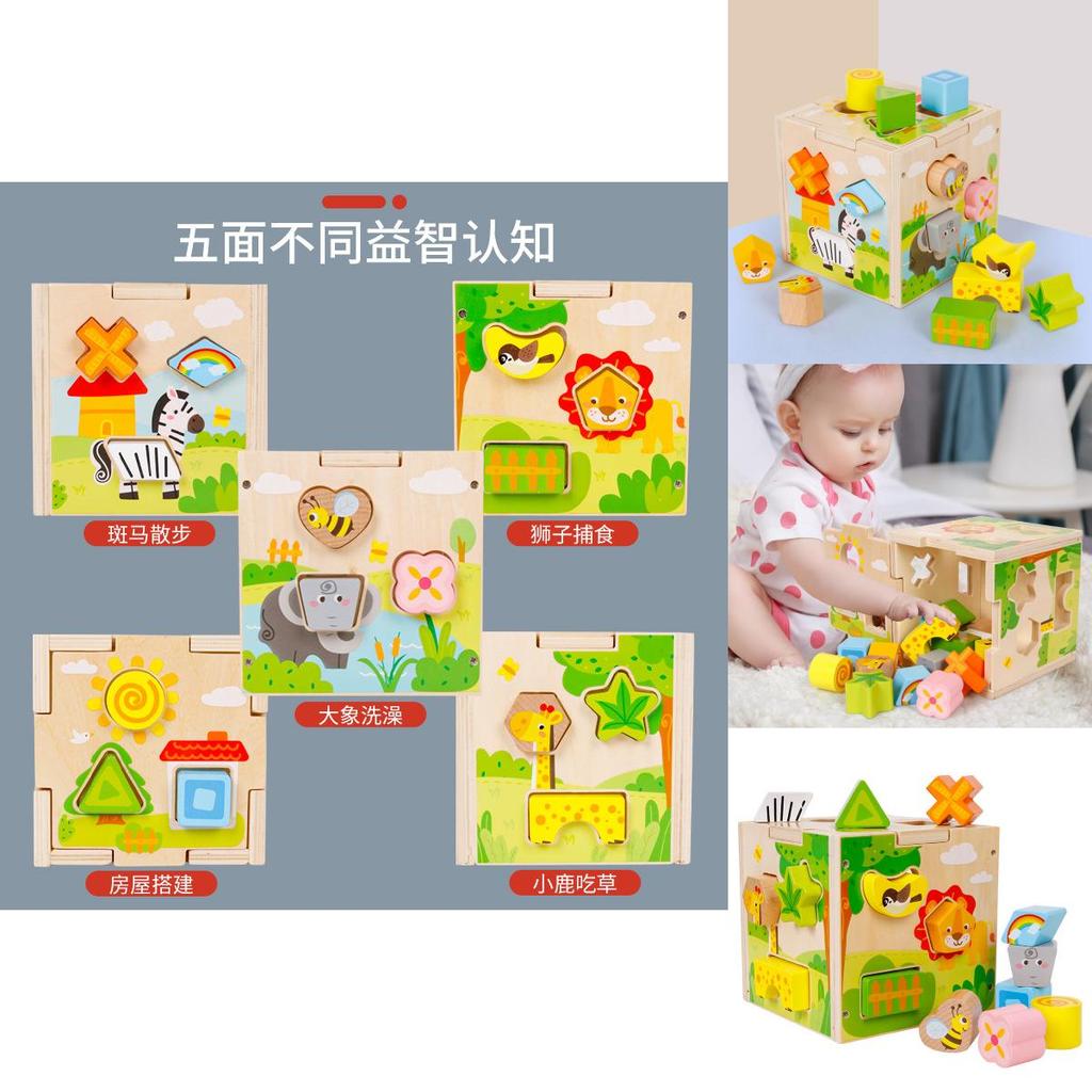 Wooden Brain Teaser Puzzle Box For Children Learning And Cognitive Enhancement