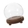 Clear Glass Display Case Dustproof Dome Premium Ball Shaped Decorative Stable Plant Flower