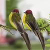 2Pcs Artificial Birds Lifelike Parrot Model Garden Lawn Yard Ornaments Landscape Fake Feather Birds Figurines Home Decor New