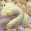 Милый Пищащий Цыпленок Игрушка-Сжималка Ручной Работы Желтый Большой Цыпленок Плюшевая Силиконовая Игрушка Снятие Стресса Липкая Кукла Кавайный Подарок для Детей