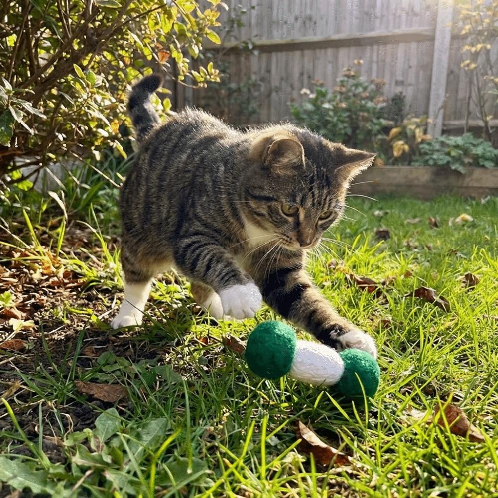 2PCS Soft Plush Cat Chew Toys Bite-Resistant Interactive Cat Toys Cat Teaser Toy Indoor Use