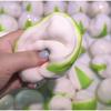 Crispy Pistachio Stress Ball Squeeze Toy ASMR Slow Rebound Fidget Decor for Sensory Relaxation Fun Tactile Anxiety Relief Gift
