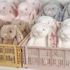 Очаровательный вислоухий кролик-цветок Животные Супермягкие куклы Высокое качество Игрушки для комфорта малыша Подушка для бросания Подарки на день рождения Домашний декор