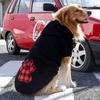 Dog Hoodies Plaid Love Heart Pattern Warm Fashion Pullover Pet Sweatshirt Winter Two-legged Clothes for Small Medium Large Dogs