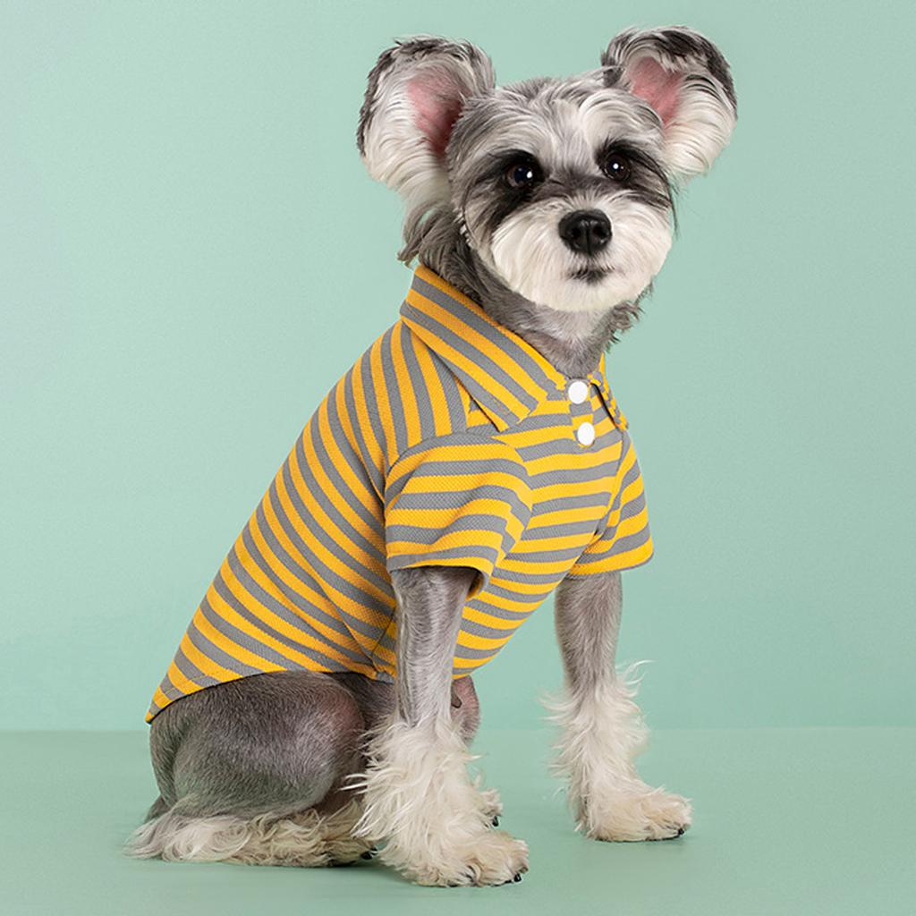 Stylish Color Block Dog Sweater Warm And Fashionable Winter Dog Clothes For Small Medium Dogs Winter Warm Doggie Sweater