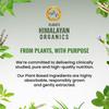 Vlado’s Himalayan Organics L-Лизин 500 мг Капсулы с незаменимой аминокислотой Для поддержки иммунитета и ежедневного благополучия 120 Веганских капсул