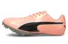 EvoSpeed Sprint 10 'Электрический персик'