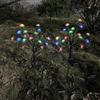 Solar Cherry Blossom Tree Garden Lights