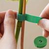 Self Adhesive Plant Nylon Cable Tie Green Adjustable Plants Hook Loop Support Garden Twine Bandage Reusable Fastener Tape Strips