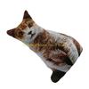 92MF Creative Simulation Cat Pillow 3D Cat Cushion Animal Doll Photography Wedding Setting Props 3D Animal Print Pillow