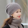 Autumn and Winter Middle-aged and Elderly Rabbit Fur Beret Hats Female Thickened Warm and Cold Earmuffs Baotou Caps