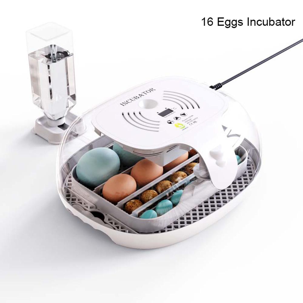 Egg Incubator for Hatching with Automatic Egg Turning Led Egg Test Lamp Clear Lid Easy To Wash 16