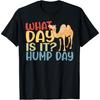 Винтажная футболка «Какой сегодня день? День горба верблюд-дромедар ретро»
