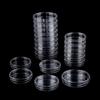 55x15mm 90x15mm Clear Petri Dish Sterile Petri Dishes Petri Dishes Bacteria Culture Dish