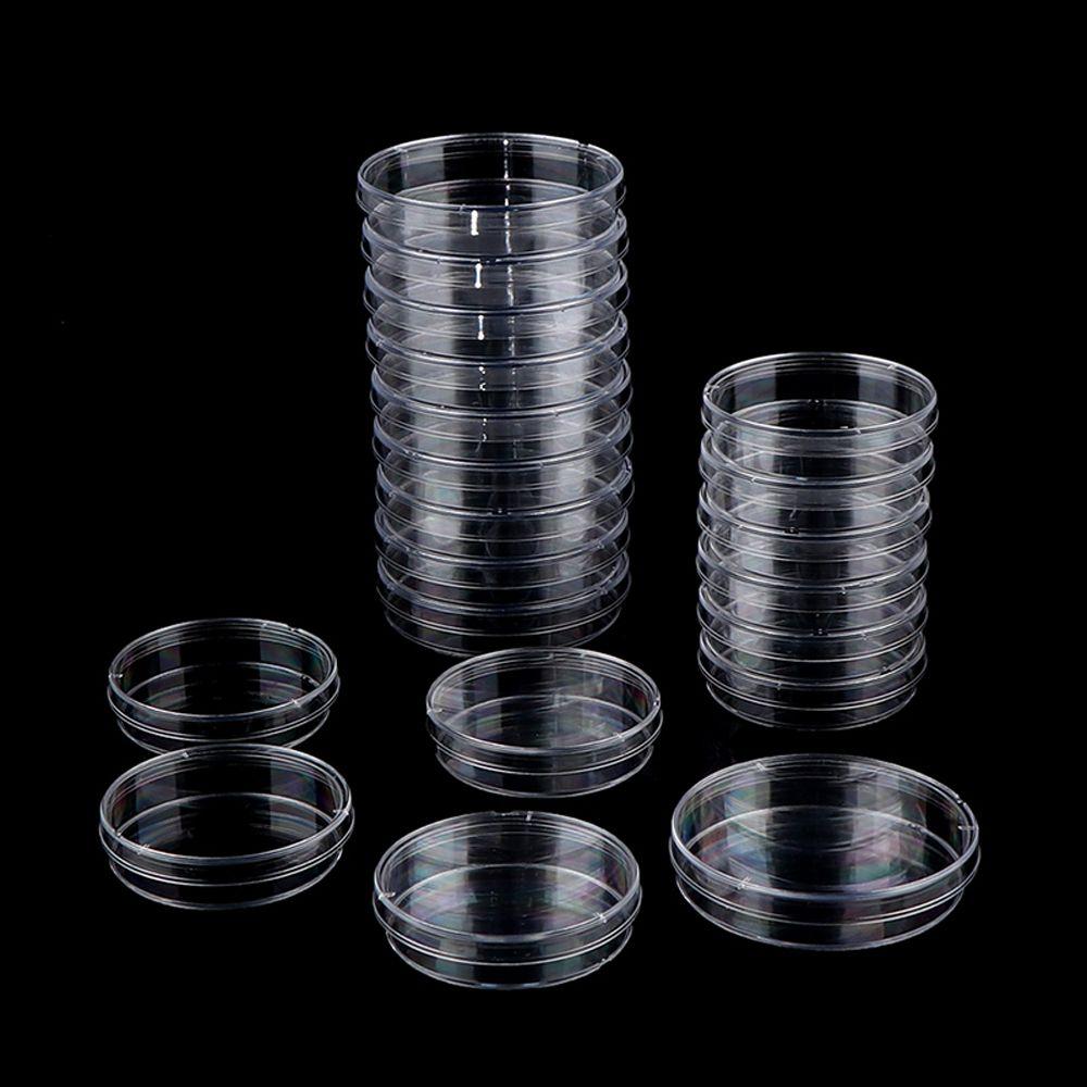 55x15mm 90x15mm Clear Petri Dish Sterile Petri Dishes Petri Dishes Bacteria Culture Dish