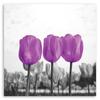 Печать на холсте, Фиолетовые тюльпаны на лугу