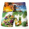 Summer Shorts Loose Breathable 3D Print Trendy Cool Fashion Vacation Shorts