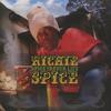 CD РИЧИ СПАЙС - Spice In Your Life (Японское издание VICP63006 Victor Ent. JPN 2005 Япония ObiReggae, Ska & Dub Б/у