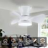 IRALAN Modern ceiling fans with light and silent led ceiling fan lighting Living room lights kitchen bedroom office home fan