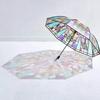 Wind Rainforest  Umbrella Stained Glass Transparent Umbrella Long Handle  Large Romantic